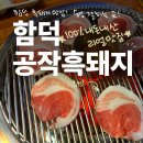 공작흑돼지 | 함덕흑돼지맛집! 내돈내산 도민맛집 '공작흑돼지' 소개해드립니다.