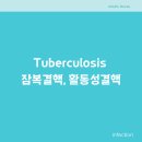 Breath of  | [IF]Tuberculosis 잠복결핵, 활동성결핵 : 투베르쿨린 검사결과, 증상, 격리기준