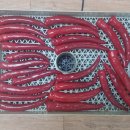 태농농장 이미지