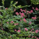 신정호잔디광장 이미지