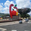 주왕산온천관광호텔 | 산불 복구 응원 + 청송주왕산온천관광호텔 솔직 후기, 해수욕 NO! 청송 온천으로 떠난 여름, 청송에서...