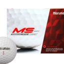 MS소프트 이미지