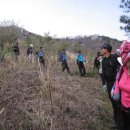 탐진농원 이미지