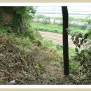 신안마을 이미지