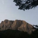 흔들목장 이미지