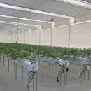 경영2농장 이미지