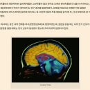 성경원어 연구소