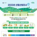 산림산업