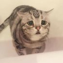 리오 PC방 이미지