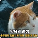 유진결혼정보 | 냥육권 전쟁 결말 및 정보 오프닝 2025 퐁당퐁당 커플의 재결합