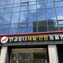 더편한동물병원 | [내돈내산]강아지 디스크·고관절 재활치료: 한걸음더재활한방동물병원 2년 다니는 후기 (강아지침치료)