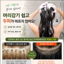 머리이야기 - 45383 | 붙임머리잘하는곳 긴 머리 붙임 머리 저렴하게 긴머리 변신 후기(2번째 리터치)