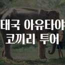 코끼리투어 이미지