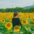 꽃밭교회 이미지