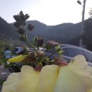 평기2리 이미지