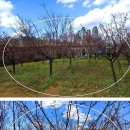 신평농장 이미지