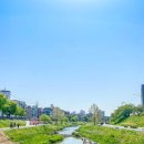 애견운동공원 이미지