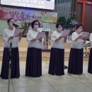 (주)엘피스 이미지