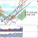 강세장 인정과 달라져야 할 인식들, 2005년의 재현과 대응 이미지