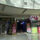 분당 두피커버 잘하는곳 야탑 탈모 헤어라인 커버 추천 두피공방 후기 통증 소요시간
