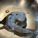 통영굴바다 | 군포 산본 맛집 통영굴바다 생새우회 내돈내산 후기