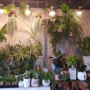 경기도 수원시 팔달구 장다리로219번길 이미지