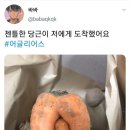 뒤조심) 당근 사세요~~ 못난이 당근이요~ 이미지