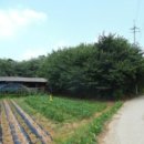 본당리마을회관 이미지