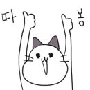 코코스퀘어 애견미용 이미지