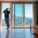 샤인카랜드 이미지