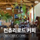 신두2리 다목적회관 | 태안 여행 필수 코스! 식물이 가득한 감성 카페 컨츄리 로드 커피🧇강력 추천✨