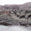 하와이야시장 이미지