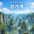 장가계 - 중구 당디로 64 | 장가계