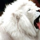 출출할때 이미지