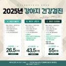 루시드동물메디컬센터