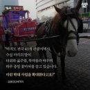 꽃마차 이미지