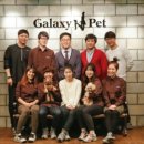 갤럭시펫 애견미용 이미지