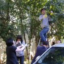 새빛주유소 이미지