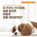 쥬라기동물병원 이미지