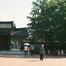 경포의하루 이미지