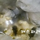 김밥천국 중앙대점