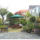 로뎀나무펜션 이미지