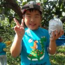 양수농원 이미지