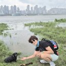 8월19일(수) 한강따라 옥수역 ~ 용산역까지 이미지