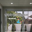 화이트래빗 풀빌라 이미지