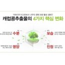 카페 아토 이미지