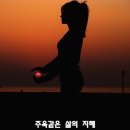 지혜 이미지