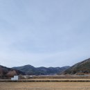 자경농장 네이버블로그