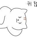트윙클케이크