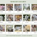 약동초교 이미지